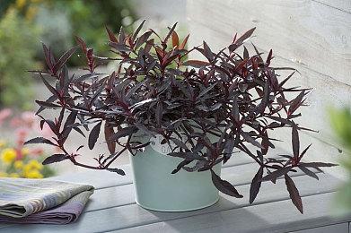 索尼前高管：游戏不是一次性的东西，应该保存下去